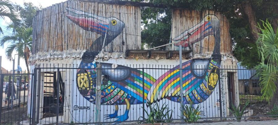A vibrant mural of two pelicans painted on the exterior wall of a building, surrounded by greenery and a fence