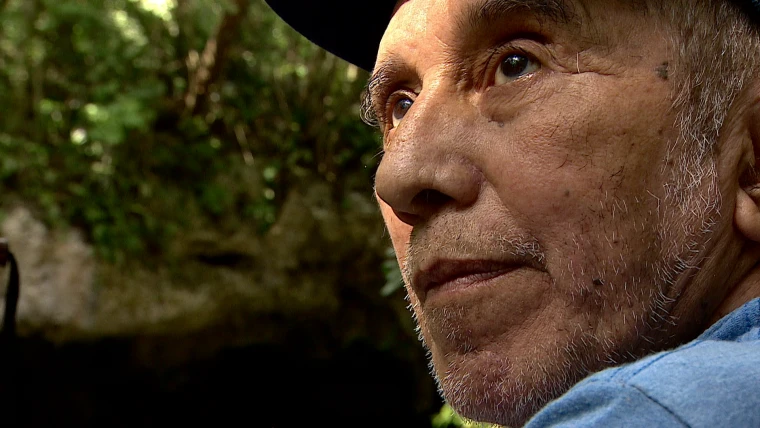 A close-up of an elderly man's face with a thoughtful expression, surrounded by lush greenery in the background.$#$ CAPTION
