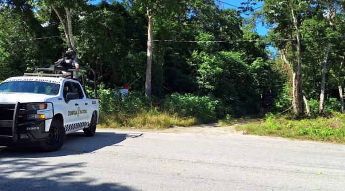 Police and forensic investigators at the scene where two bodies were found along Federal Highway 307