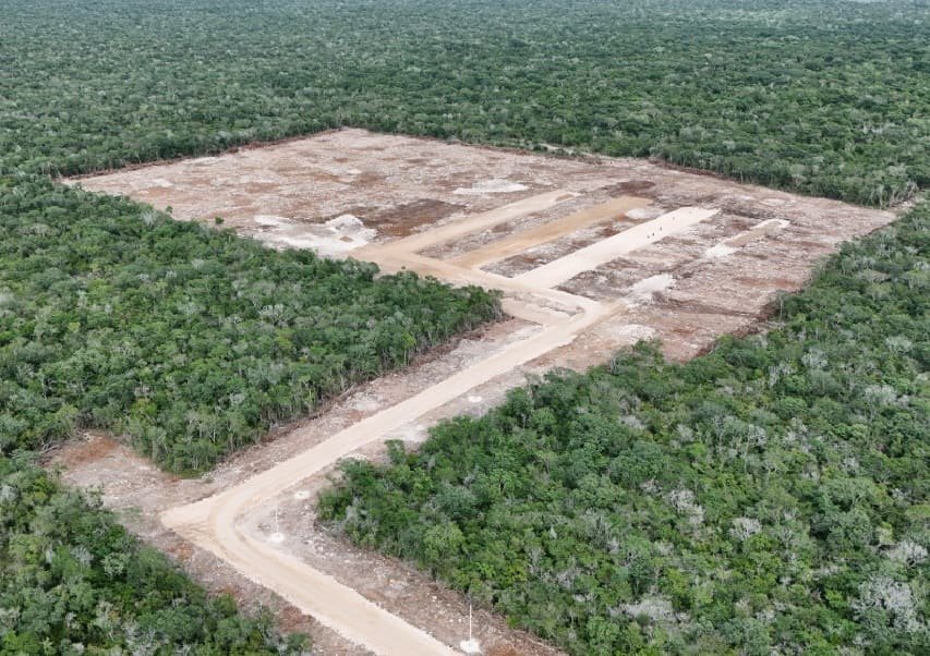 Aerial view of a cleared area in a forest, showing patches of bare land surrounded by green foliage, along with a dirt road.$# CAPTION
