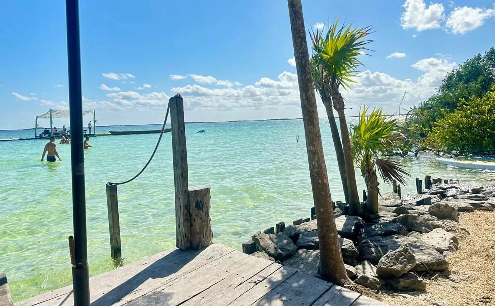 Protesters holding signs against hotel construction near Sian Ka'an Biosphere Reserve