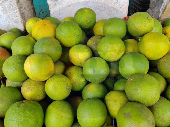 A close-up view of a pile of green and yellow citrus fruits stacked together in a market setting.$# CAPTION