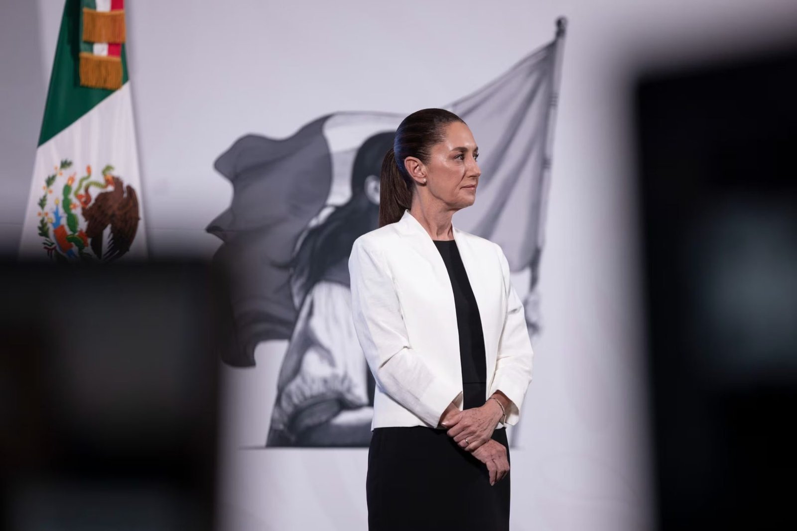 a woman in a black dress and white jacket stands in profile beside a Mexican flag and a backdrop featuring a monochrome illustration of a woman holding a flag