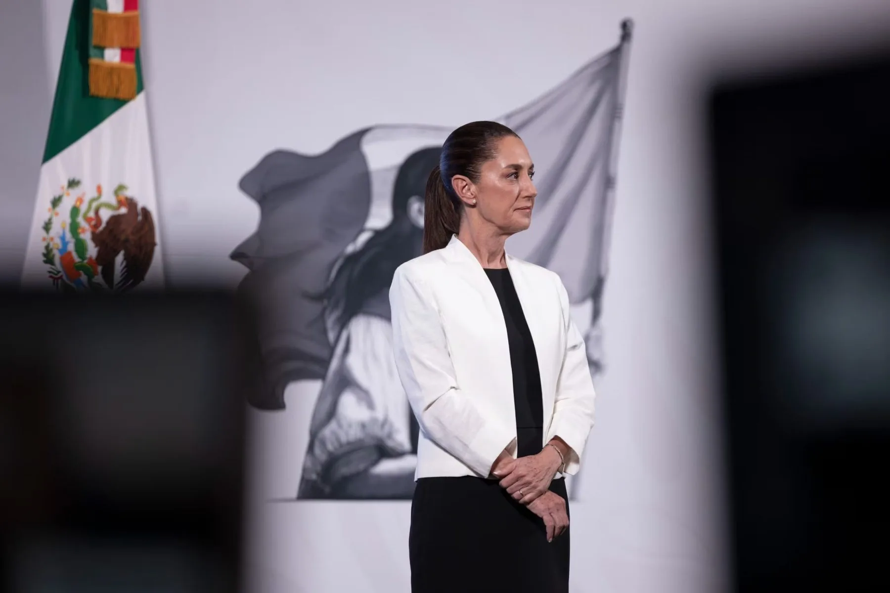 a woman in a black dress and white jacket stands in profile beside a Mexican flag and a backdrop featuring a monochrome illustration of a woman holding a flag