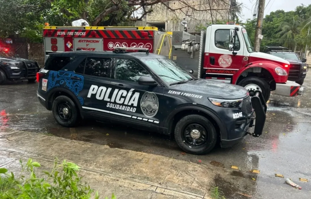 A police SUV parked on a wet street next to a fire truck, with rain-soaked surroundings and greenery in the foreground.$# CAPTION