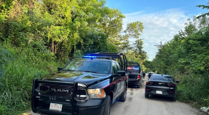 Several police vehicles parked on a grassy roadside under a blue sky