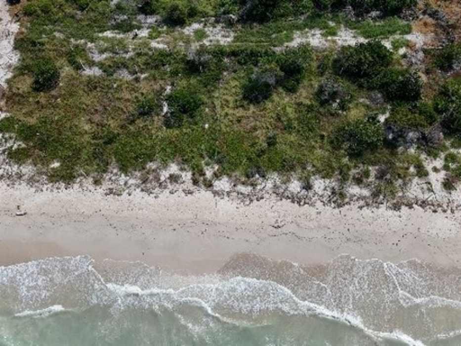 PROFEPA inspection at Ría Celestún Biosphere Reserve showing environmental damage