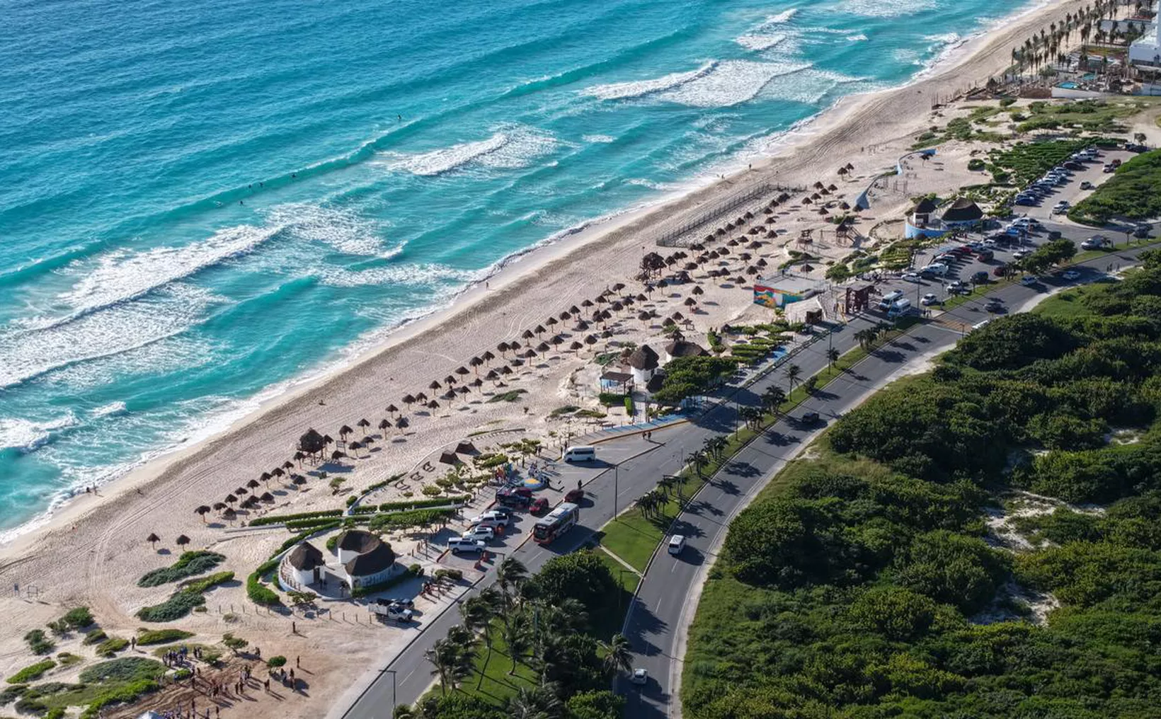 Volunteers planting vegetation on the coastal dune at Playa Delfines in Cancún