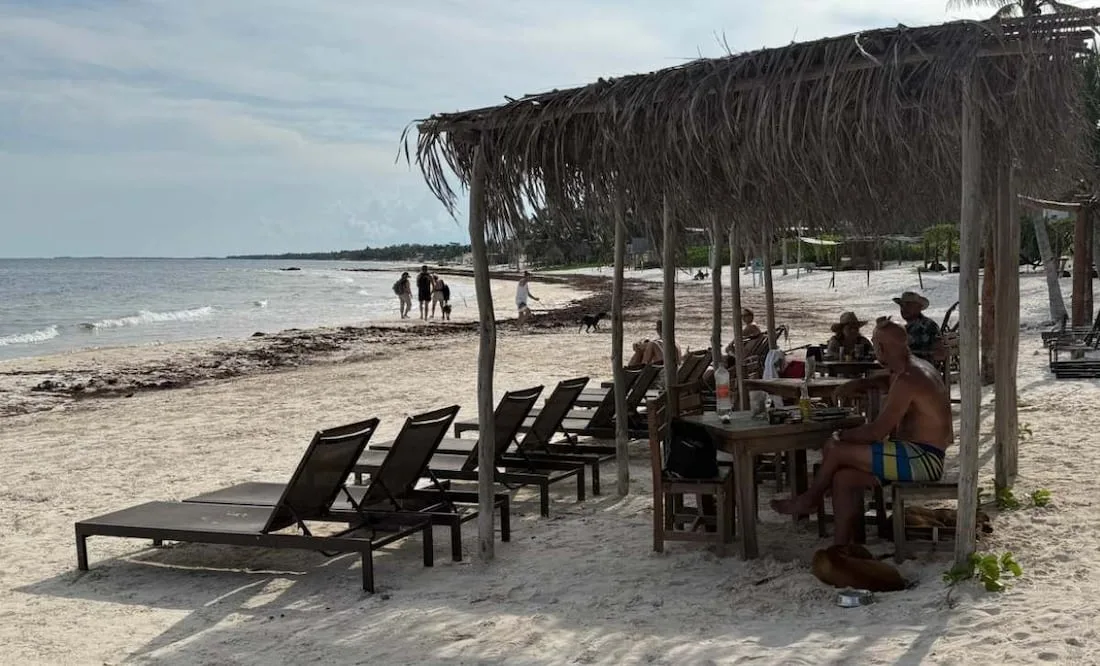 A group of people sitting at a shaded table near the beach, with sun loungers nearby and others walking along the shoreline.$#$ CAPTION