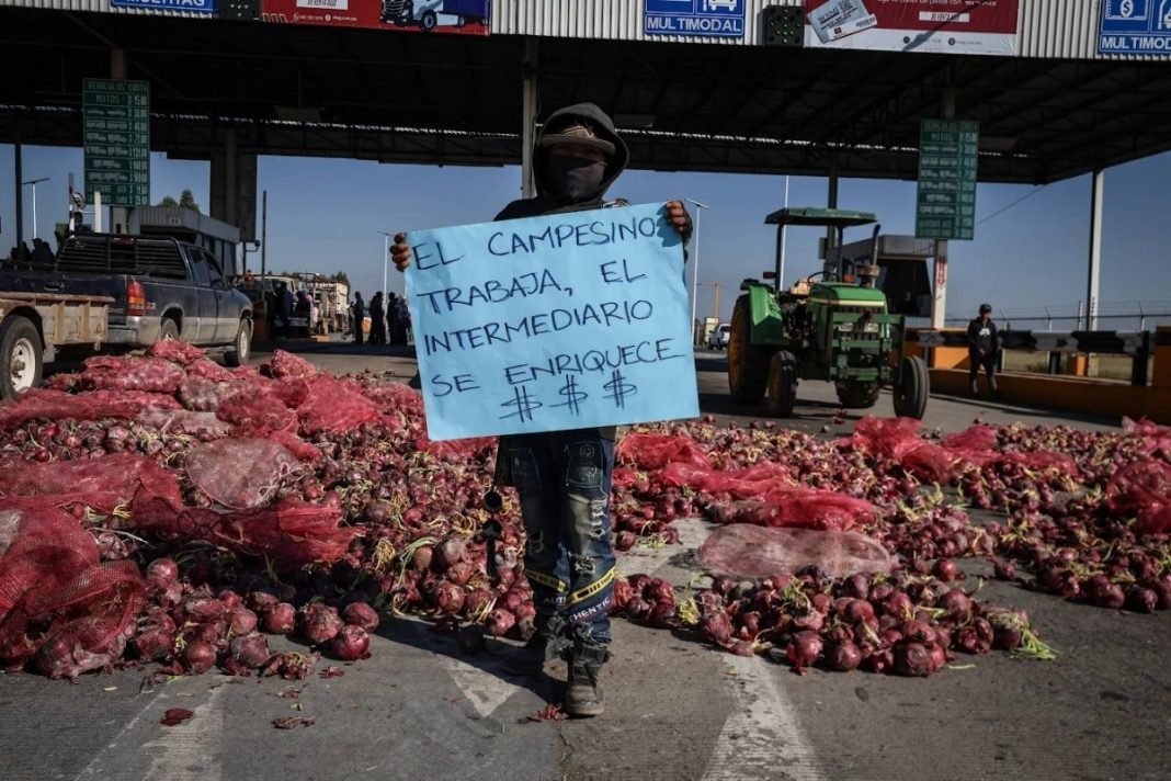 Protesters blocking a highway during a road blockade in Mexico