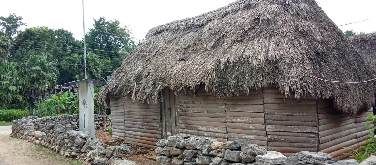 A rustic thatched cottage made of wooden logs surrounded by greenery and a stone wall.$# CAPTION