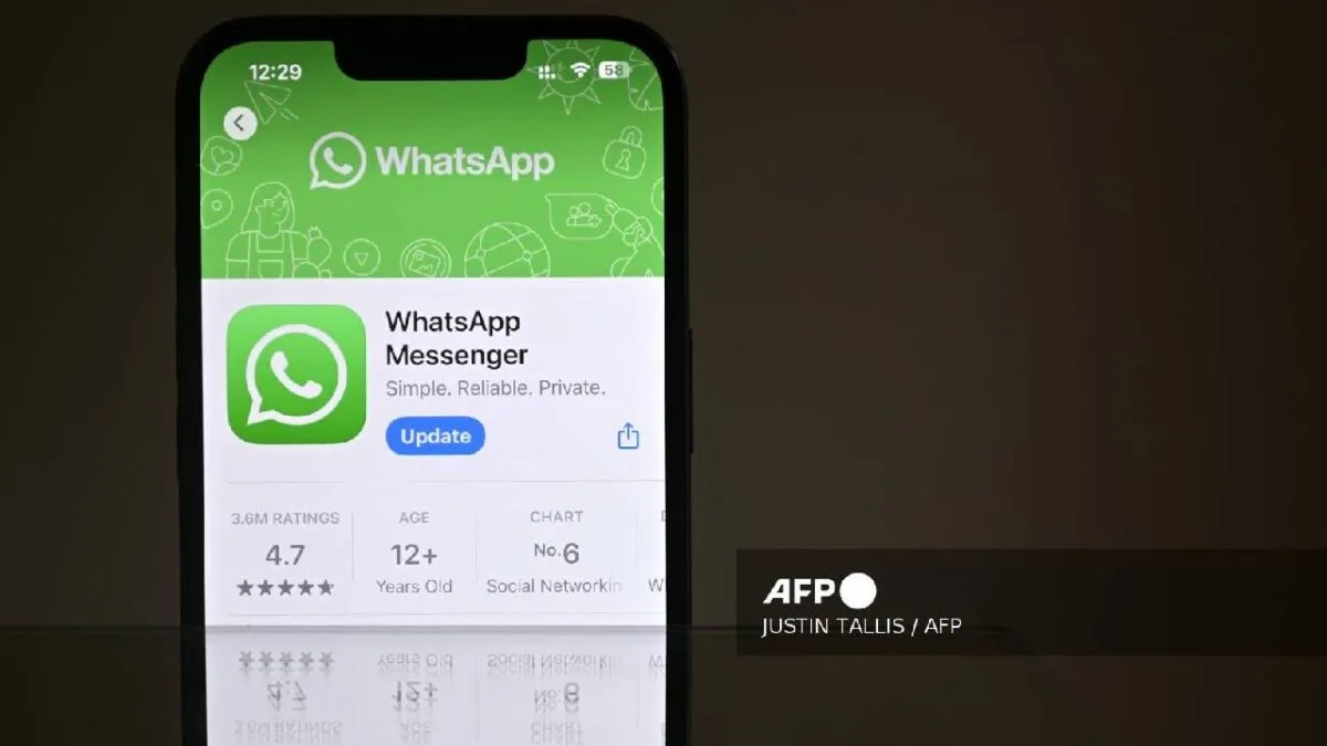 WhatsApp application displayed on a modern smartphone screen