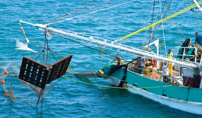 Image depicting World Fisheries Day activities in Mexico