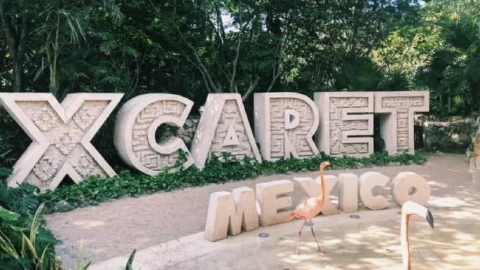 The Xcaret Mexico sign surrounded by greenery and flamingos in a tropical setting