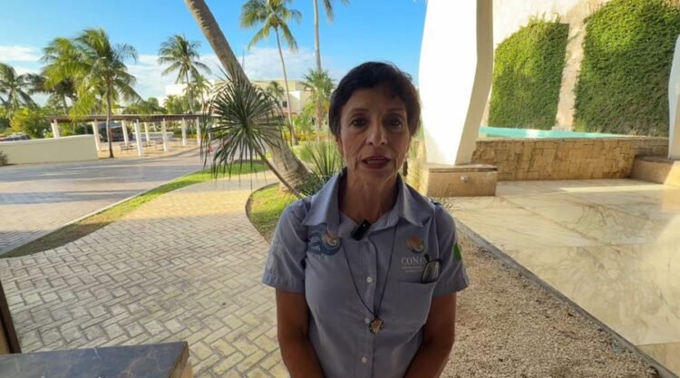 Aerial view of cenotes and underground river systems in the Yucatan Peninsula