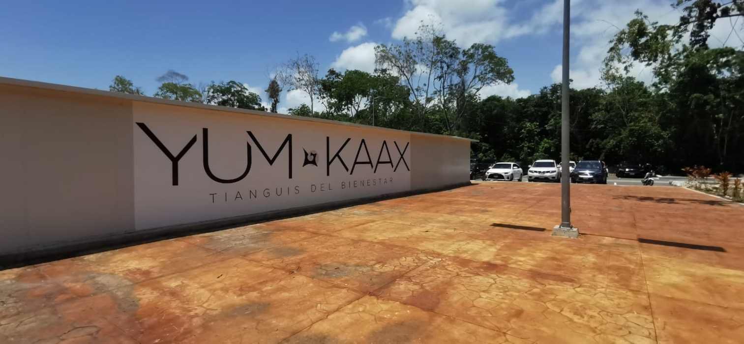 Signage for YUM KAAX, a wellness venue, against a tropical backdrop with parked cars nearby