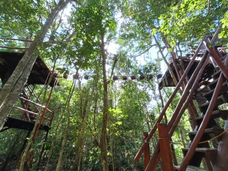 Tourists enjoying adventure activities in Puerto Morelos, Mexico