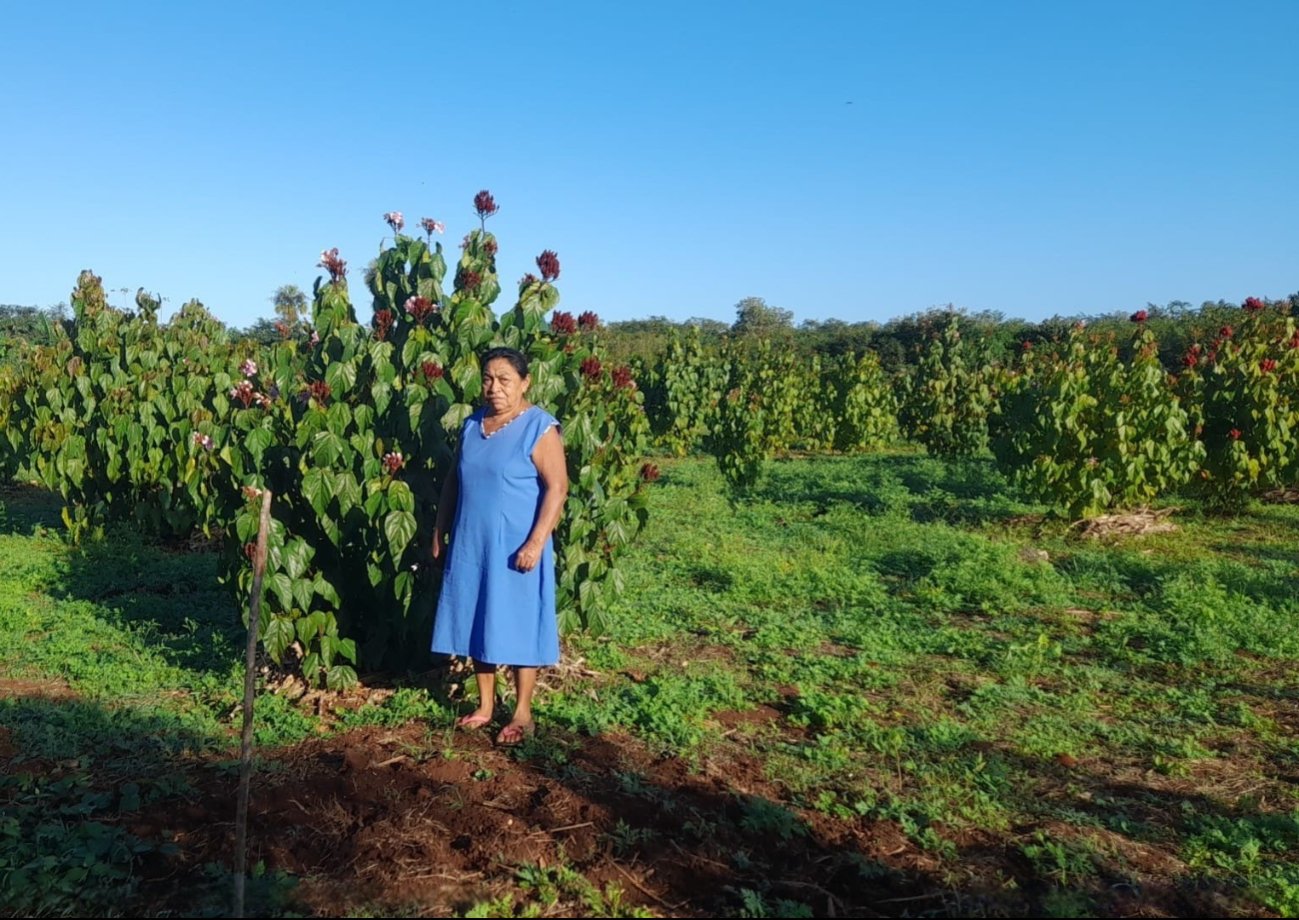 Farmers holding annatto seeds in Lázaro Cárdenas, Quintana Roo