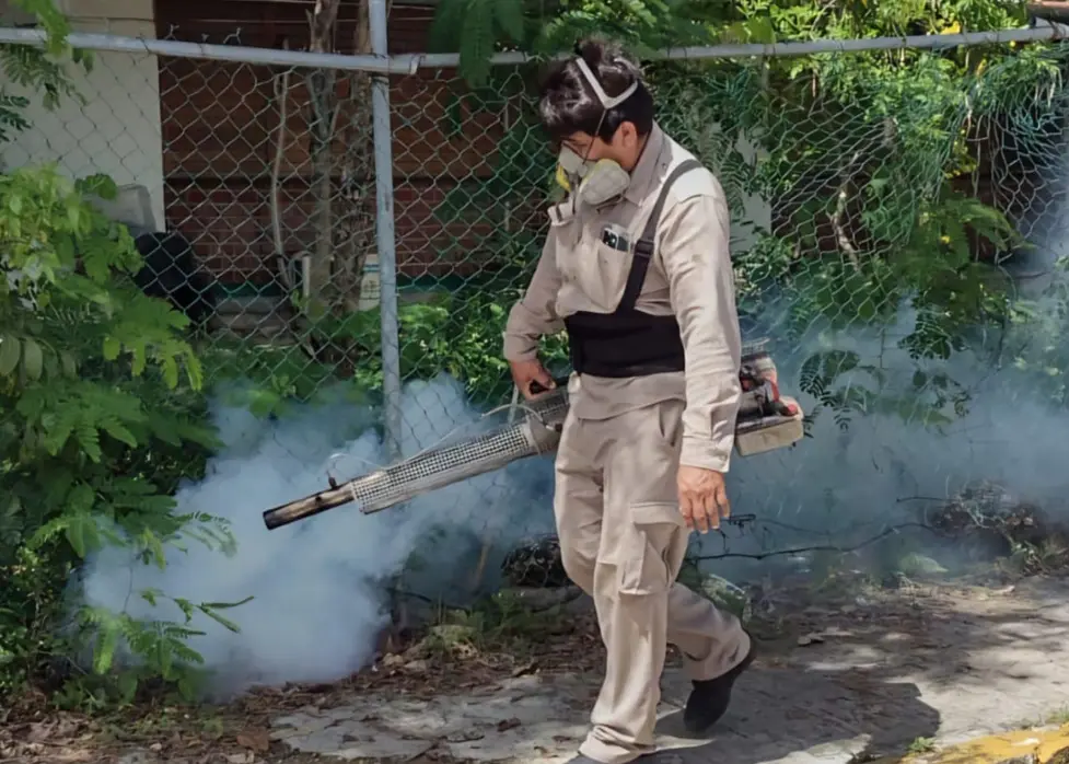 Infographic showing chikungunya cases in Quintana Roo