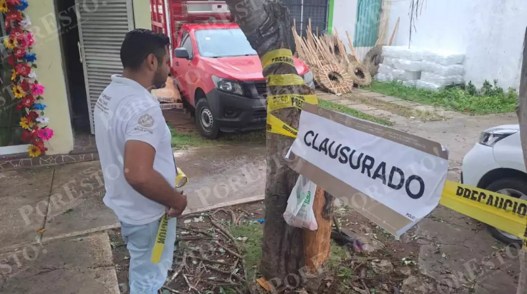 Citizens interviewed expressing disapproval of tree damage in Playa del Carmen