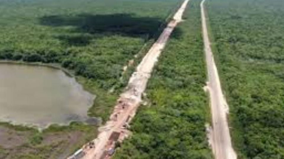 Environmentalists inspect the closed illegal bypass in Tulum's Maya Jungle