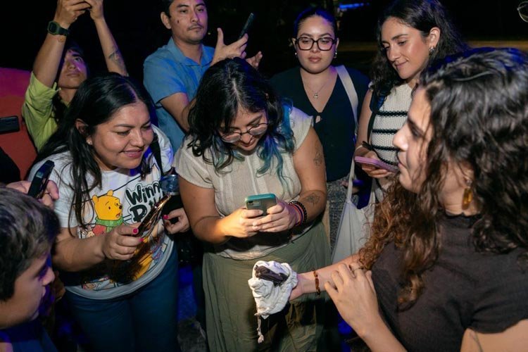 Cozumel Christmas bat count event at Cha'an Ka'an Planetarium