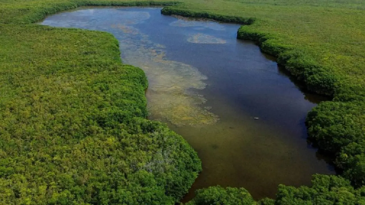 Director of Quintana Roo Biodiversity Institute presenting environmental protection initiatives