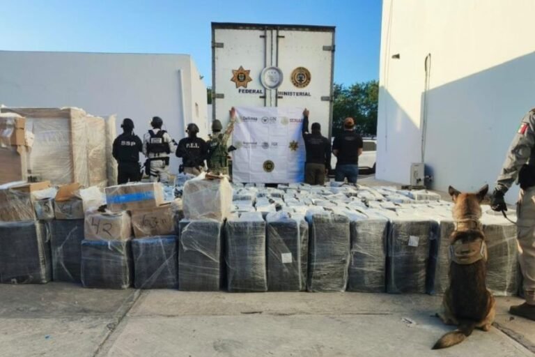 Drugs seized during a joint operation on the Campeche–Mérida highway