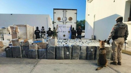 Law enforcement officials conducting a drug seizure operation in Yucatán