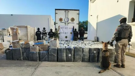 Law enforcement officials conducting a drug seizure operation in Yucatán