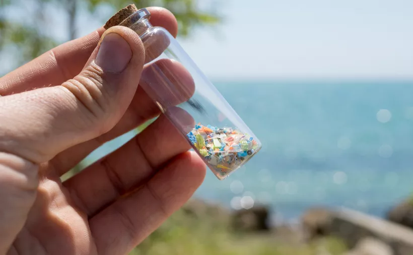 Eco-Bahía Foundation volunteers cleaning waste from Mexican Caribbean coastline