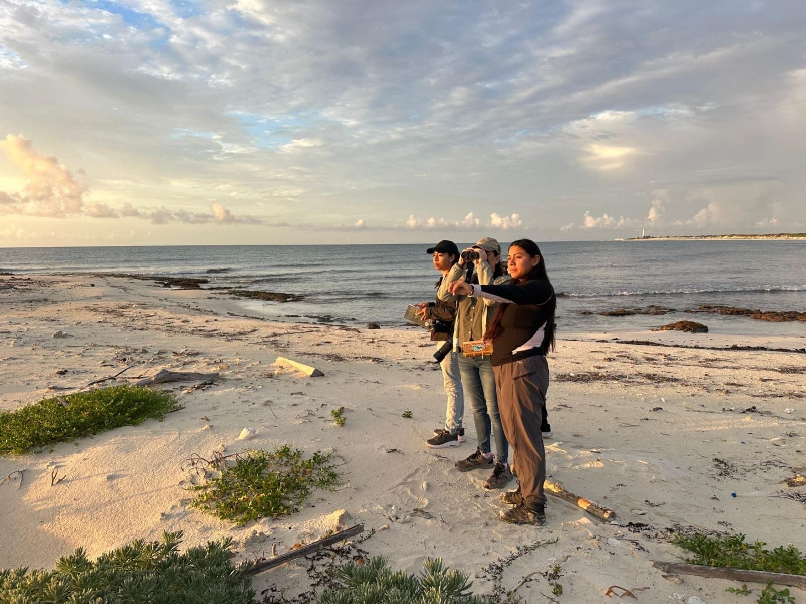 Bird monitoring activities at Punta Sur Ecotourism Park in Cozumel