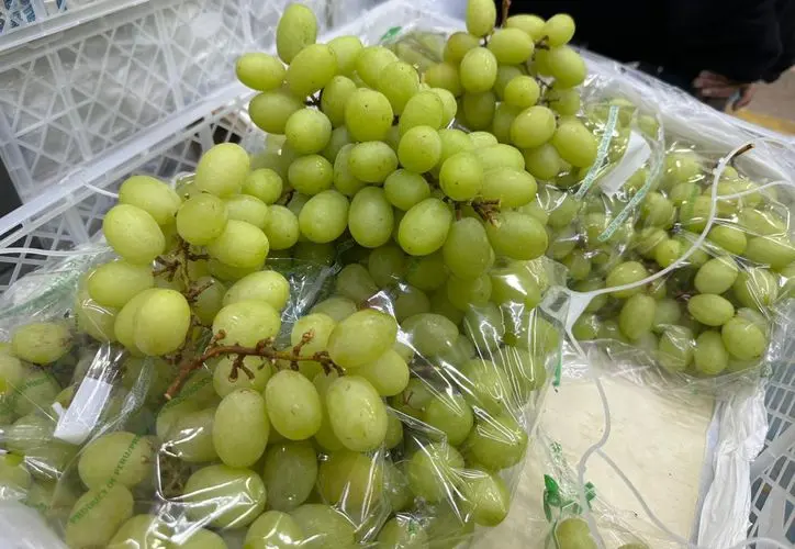 Close-up of grapes in a Cancún supermarket showing price variations