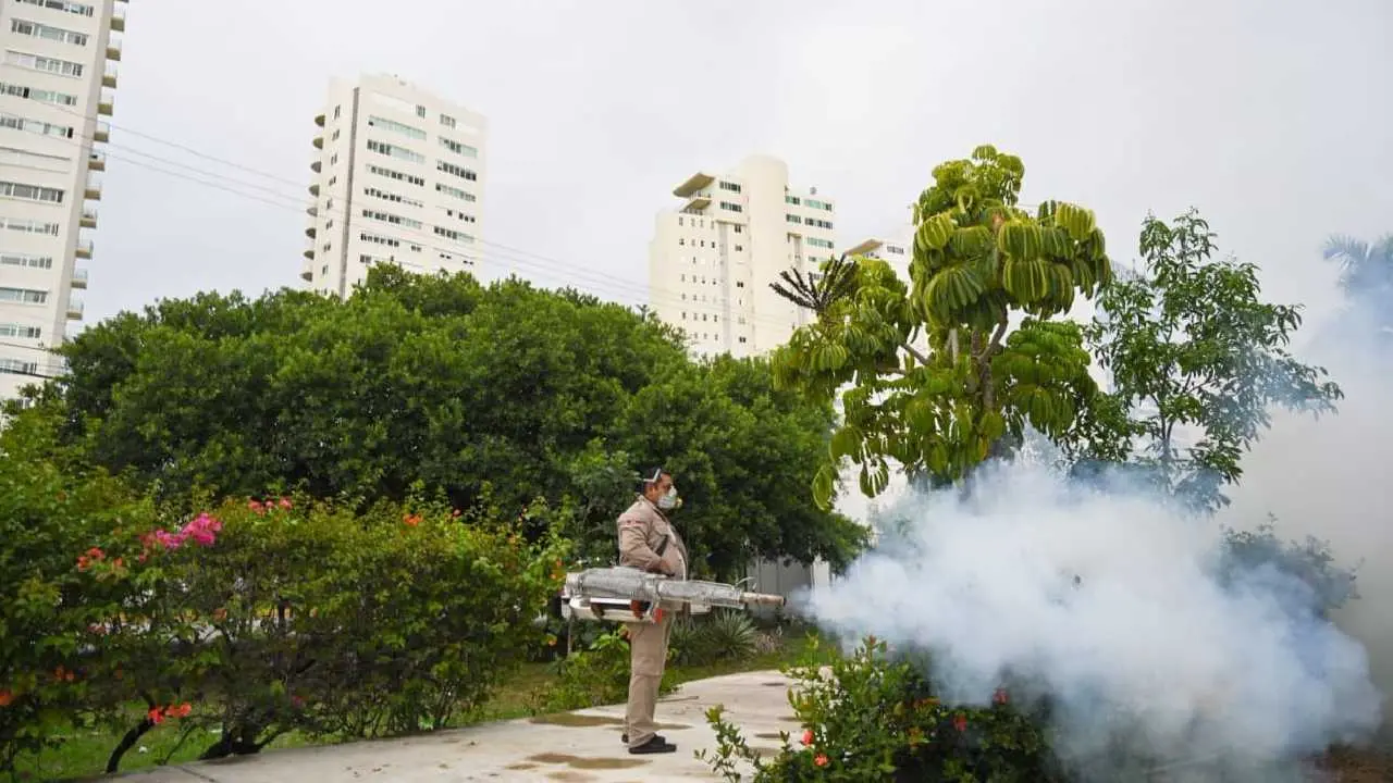 Health personnel conducting waste removal activities in Quintana Roo as part of dengue prevention strategy