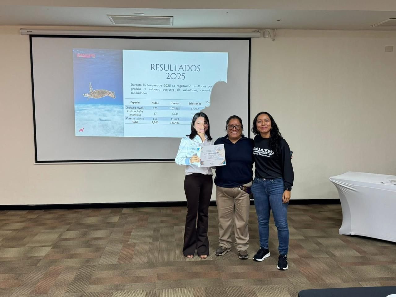 Sea turtle hatchlings at Isla Mujeres turtle camp