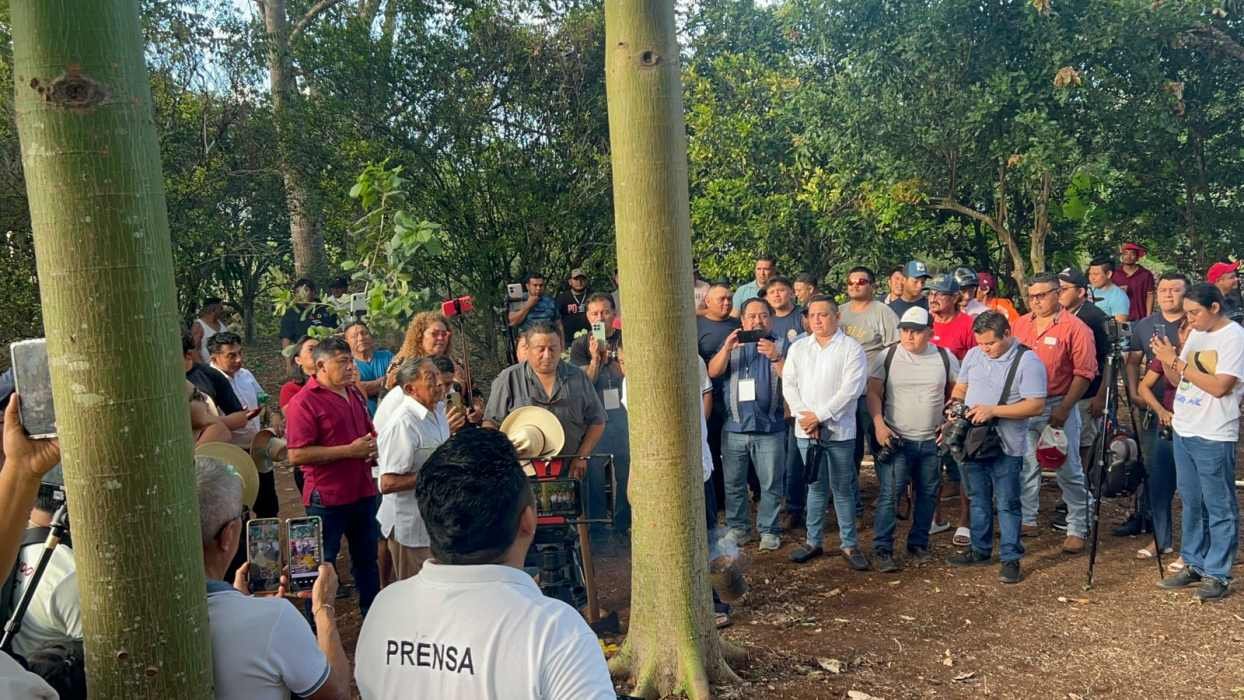 Participants cutting the sacred ceiba tree during the Kantunilkín fair inauguration