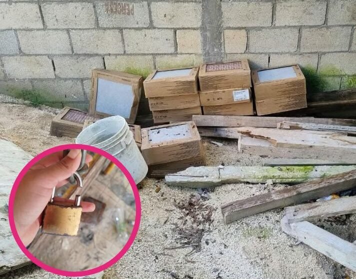 Residential area in La Veleta, Tulum, where robberies have increased