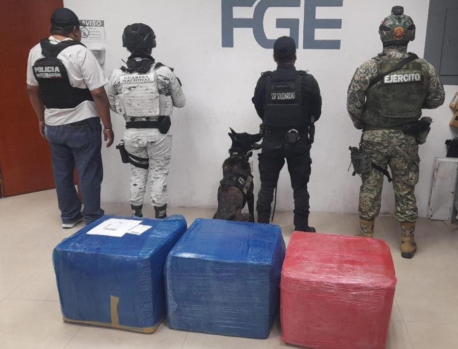 Authorities conducting drug seizure operation at courier company in Playa del Carmen