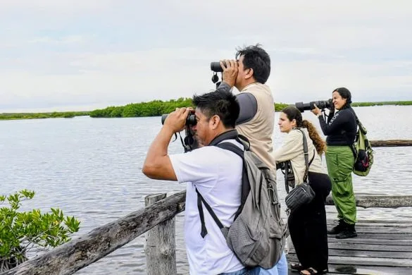 Community members observing wildlife during NaturaIsla activity at Punta Sur in Cozumel