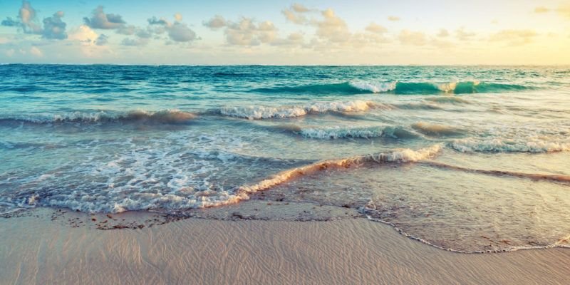 Ocean waves crashing on shore representing Mexico's marine ecosystems