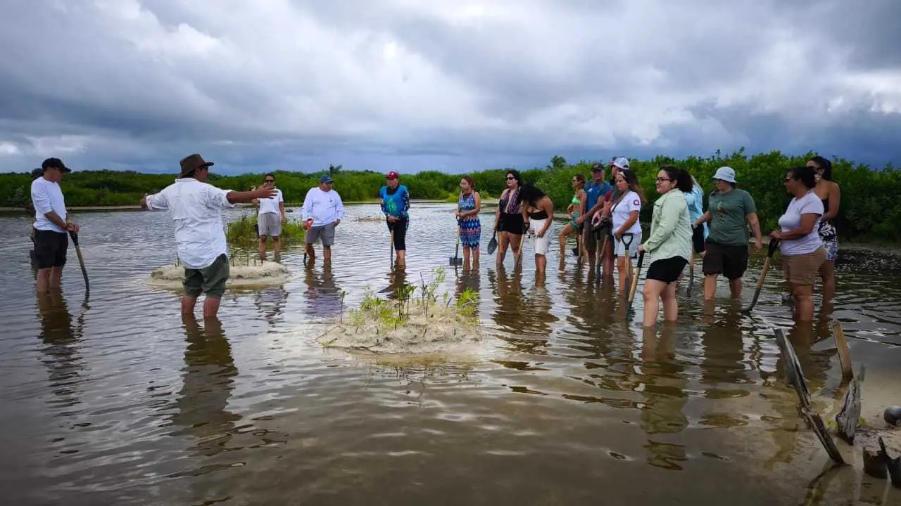 Participants performing meditation practices for mangrove conservation awareness in Cozumel