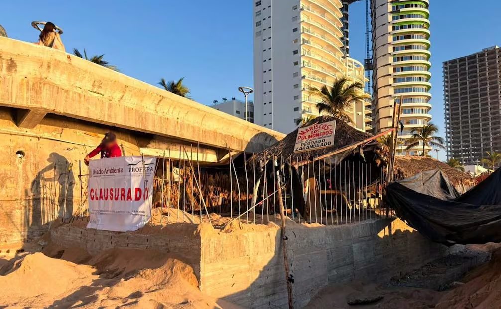 Profepa environmental inspection at real estate project site