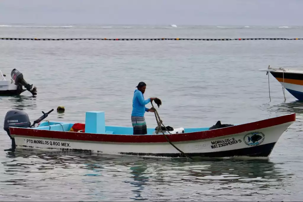 Fishing boats docked in Puerto Morelos harbor