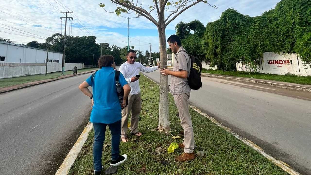 The government of Quintana Roo committed to the environment