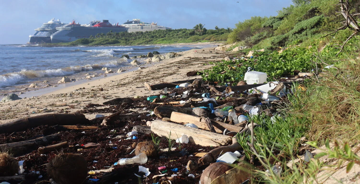 Royal Caribbean's proposed beach club project in Cozumel showing environmental concerns