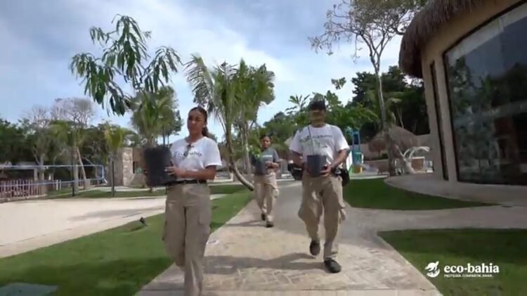 Volunteers cleaning beach during Sak Program coastal cleanup in Cancun