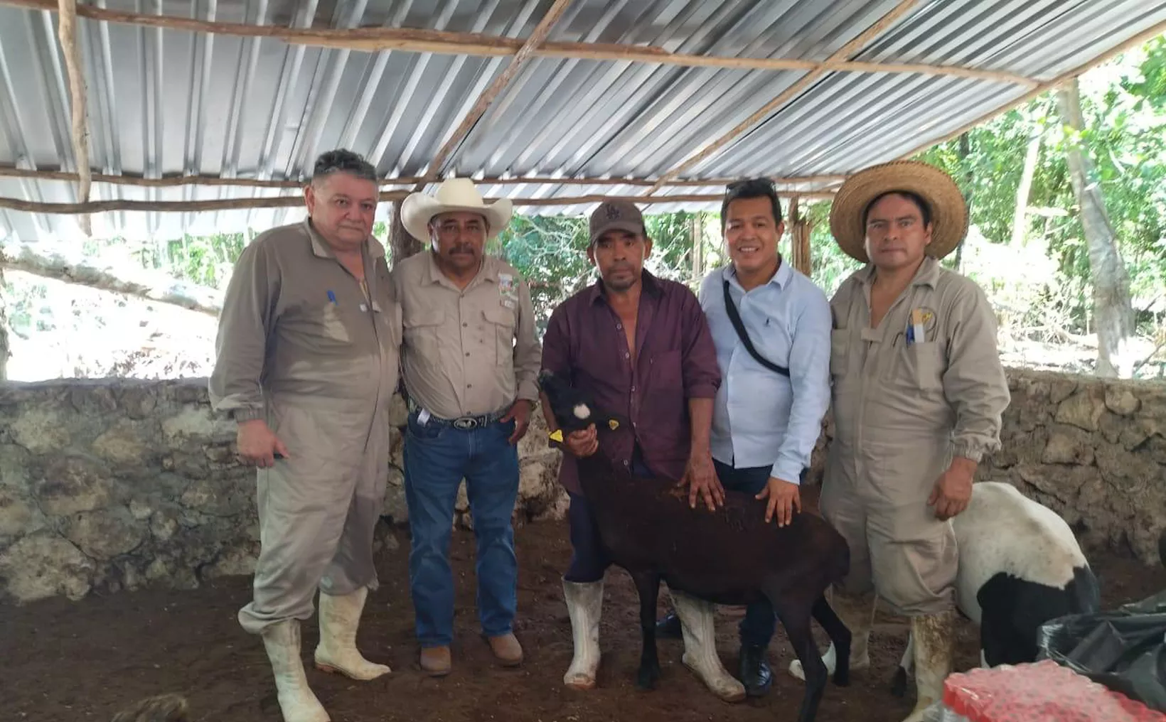 Screw worm outbreak in Playa del Carmen forces animal sacrifices