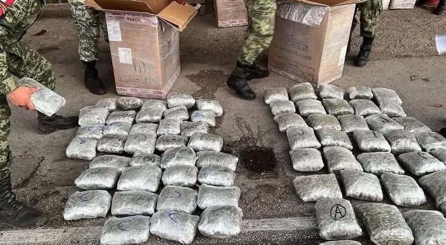 Photograph of a seized drug shipment in Yucatán, Mexico