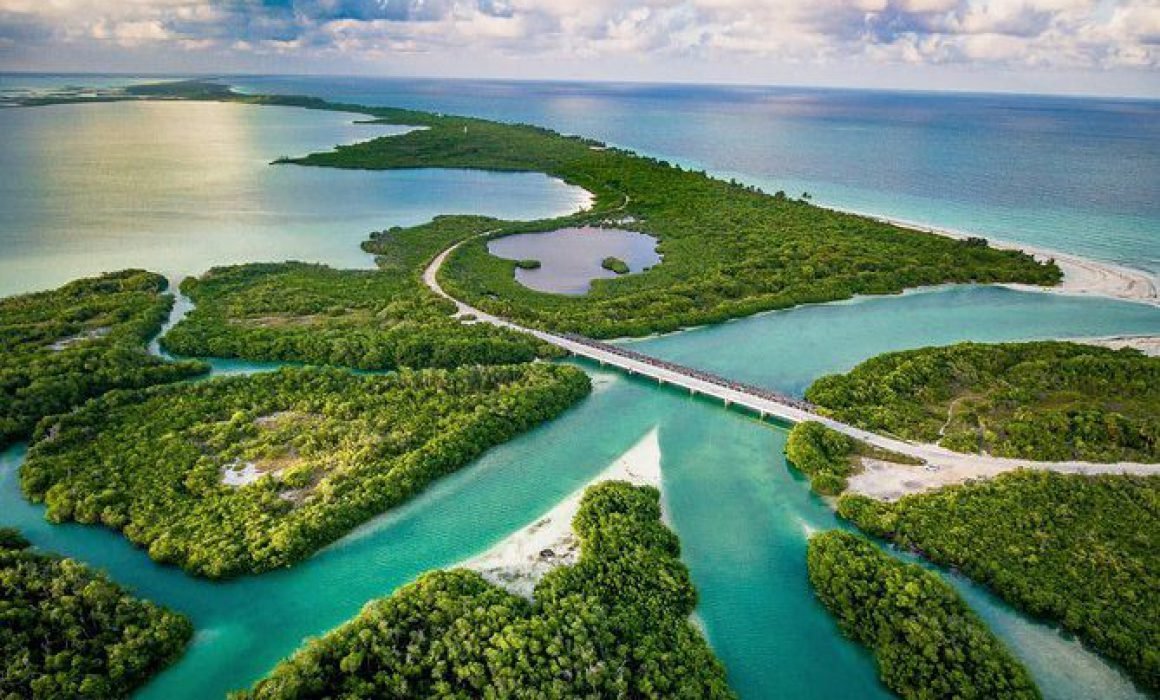 Aerial view of Sian Ka'an Biosphere Reserve showing lush wetlands and coastal areas