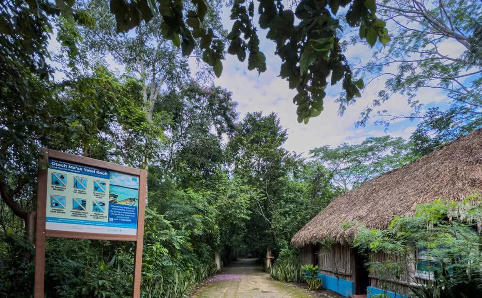 Three Mayan communities in Playa del Carmen face territorial disputes